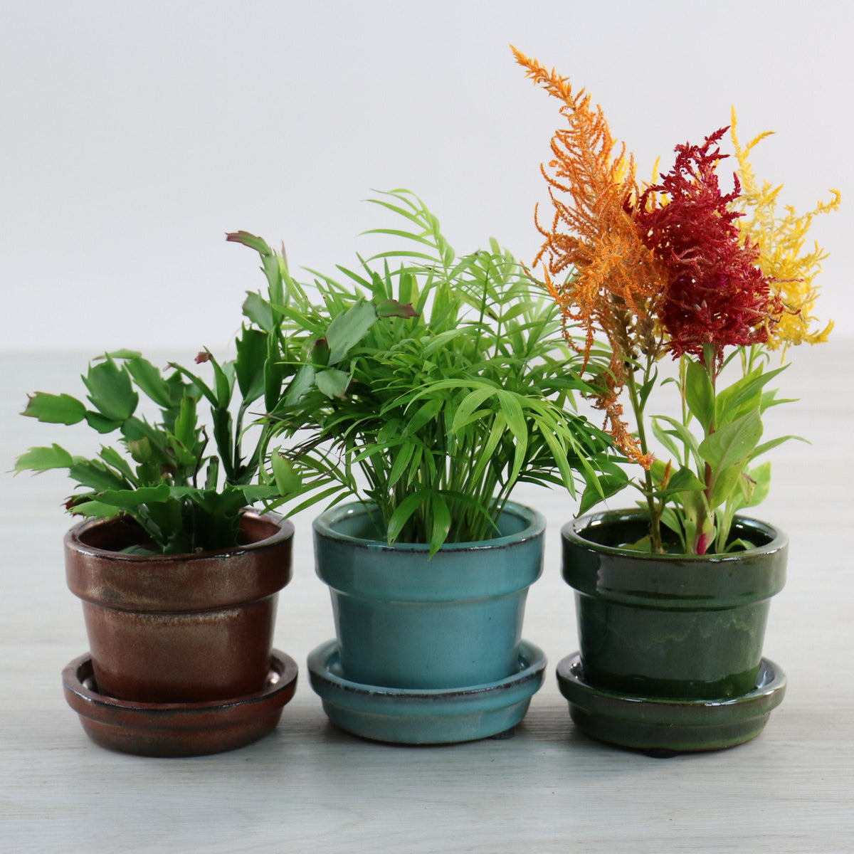 3 Piece Set - Mini Pot Must Haves, 3" Glazed Ceramic Pots