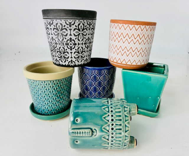 6 Assorted Pots of Joy, 3" to 5" Each