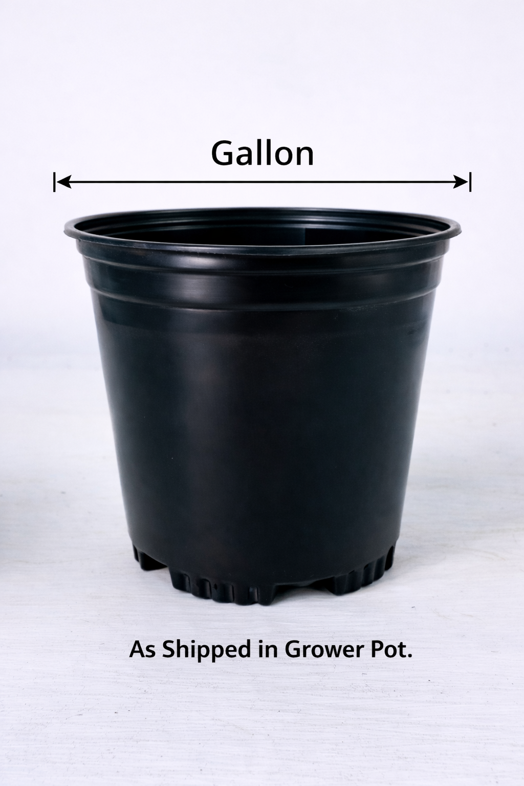 1 Gallon Plant Shipping Surcharge