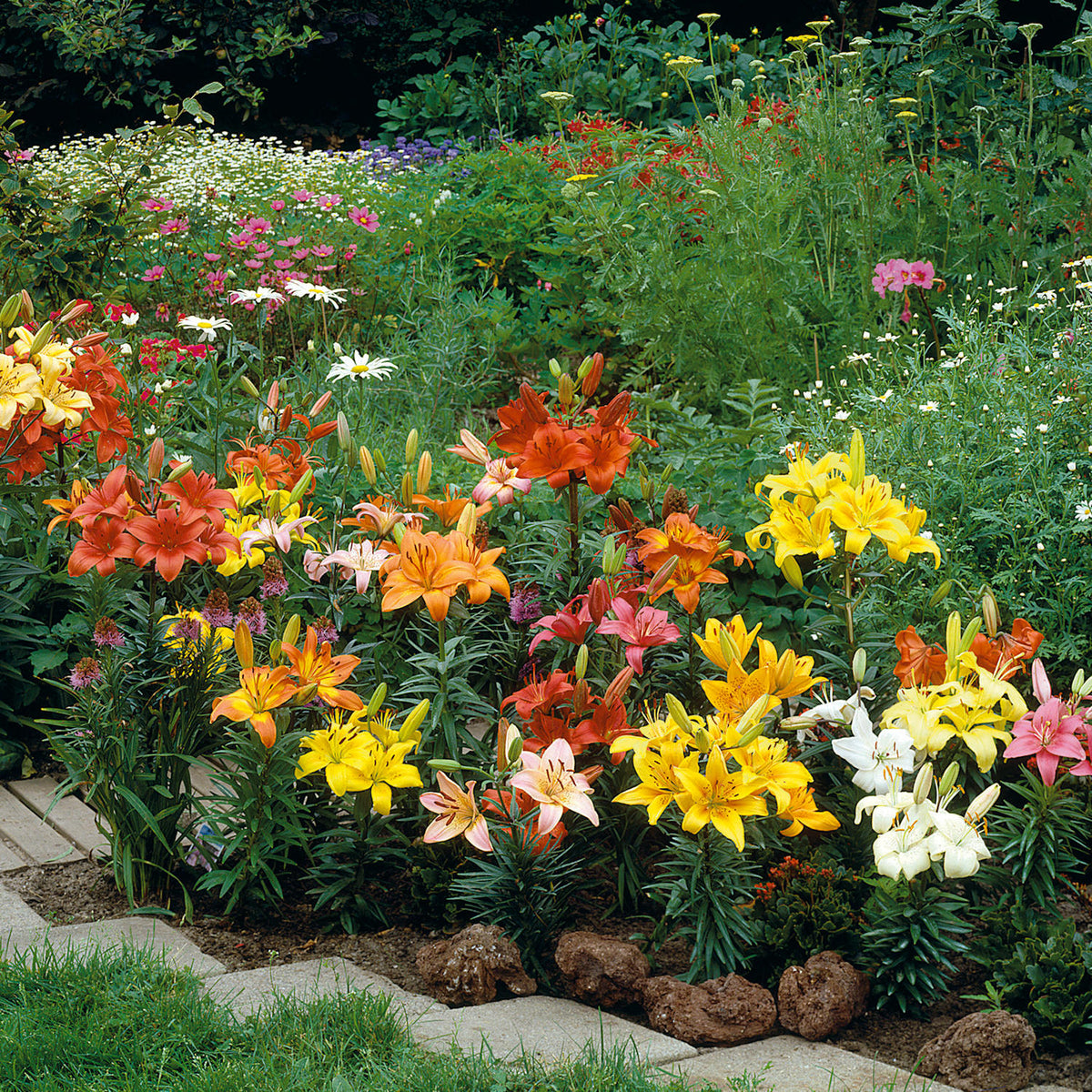 10-Piece Sunset Palette Lily Collection - 1 Assorted Collection