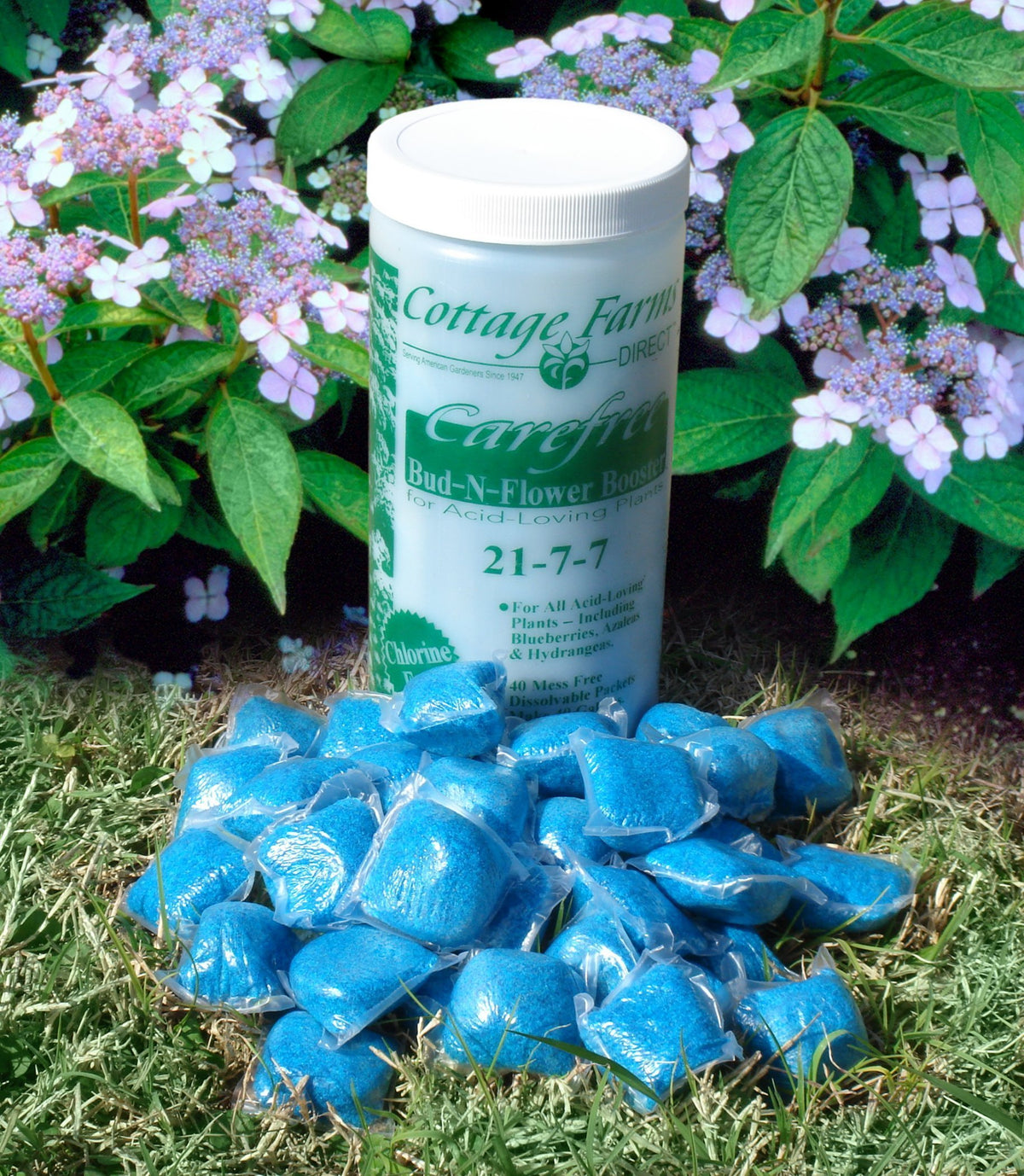 Bud N Flower Booster for Acid Loving Plants - 40 Pieces
