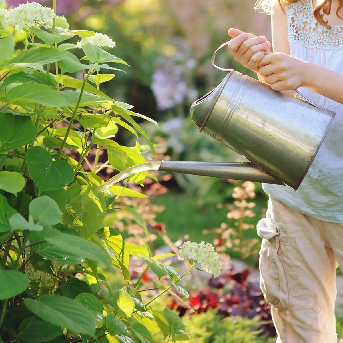 NPK+™ Fertilizer Pods for Acid-Loving Plants (21N-7P-7K)