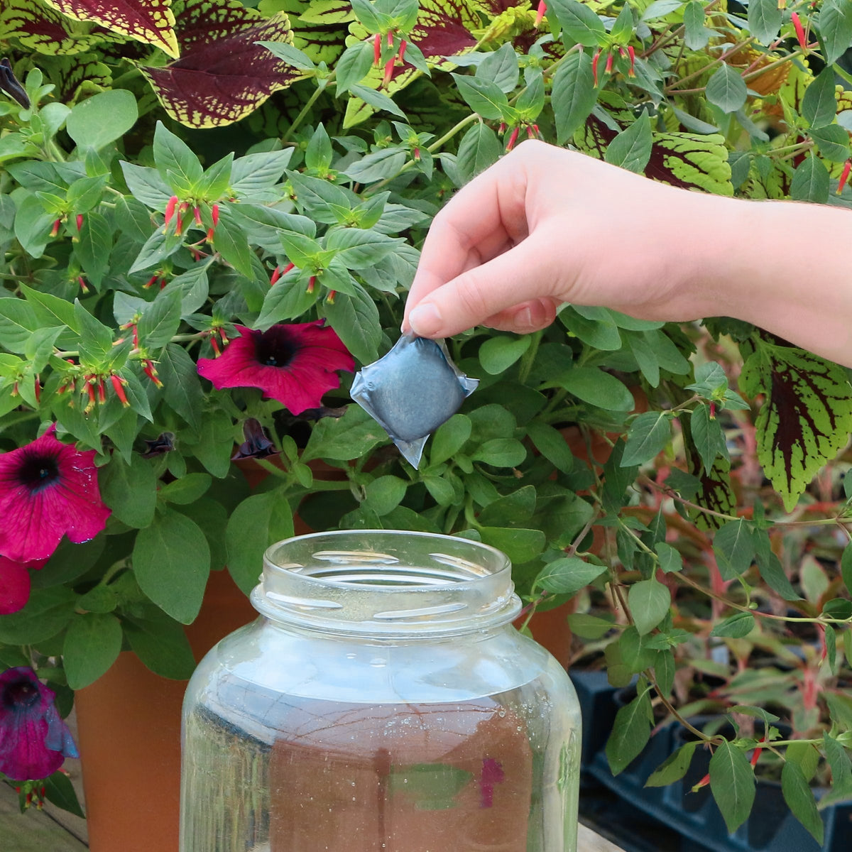 NPK+™ Fertilizer Pods for Fruits & Vegetables (15N-10P-30K)