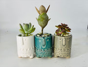 3 Piece Succulent Pot Set - 3" Each (Succulents Not Included)