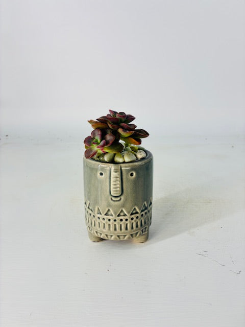 3 Piece Succulent Pot Set - 3" Each (Succulents Not Included)
